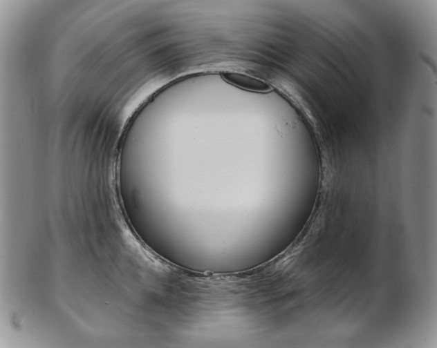 X0000103130952200808221038