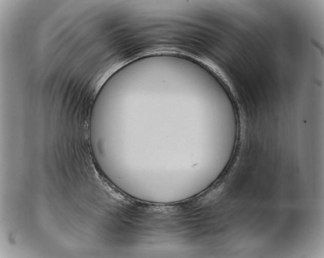 X0000103130953200808221038