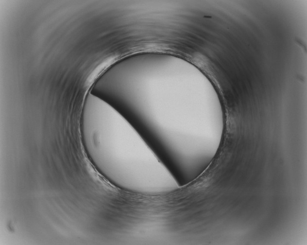 X0000103130954200808221038