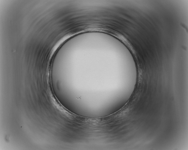 X0000103130955200808221038