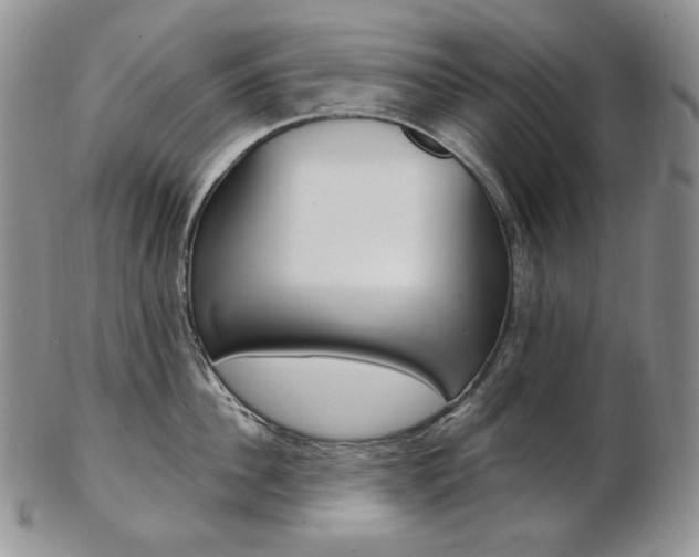 X0000103130956200808221038