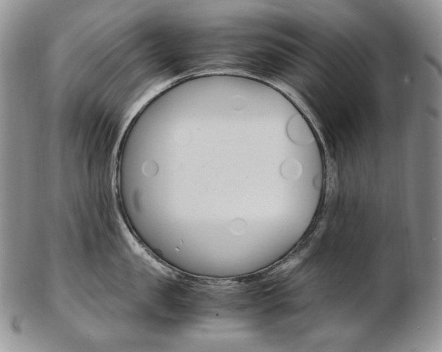 X0000103130957200808221038