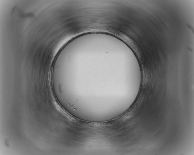 X0000103130958200808221038