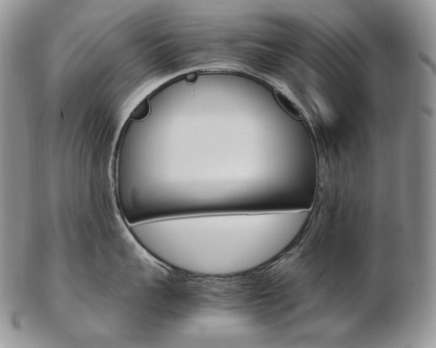 X0000103130959200808221038