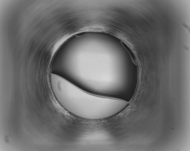 X0000103130960200808221038