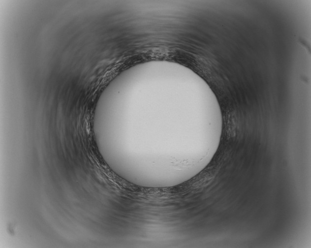 X0000103130962200808221037