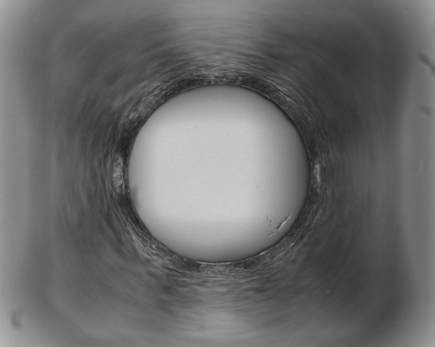 X0000103130963200808221037