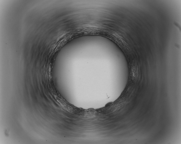 X0000103130964200808221037