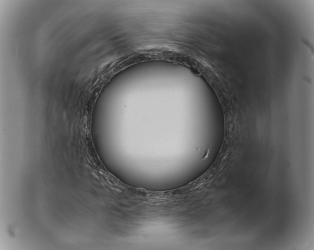 X0000103130965200808221037