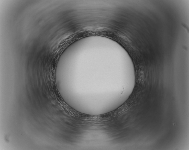 X0000103130966200808221037