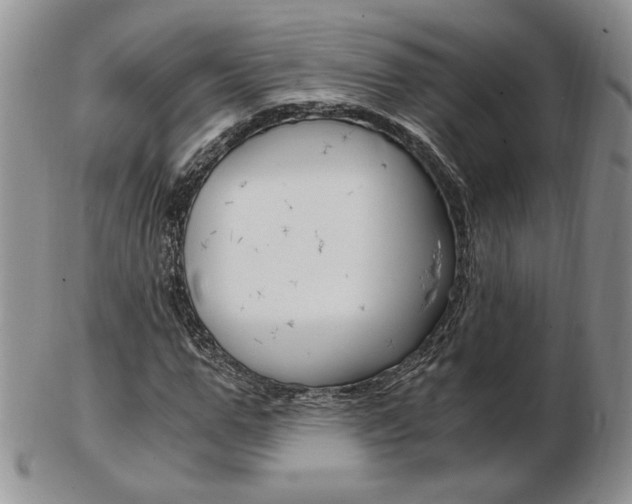 X0000103130967200808221037