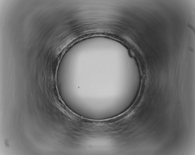 X0000103130969200808221037