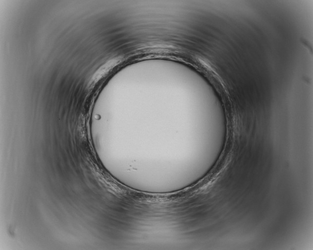 X0000103130970200808221037