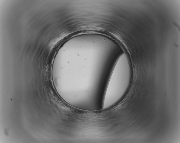 X0000103130971200808221037