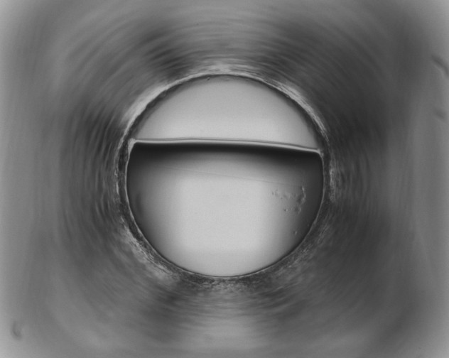 X0000103130972200808221037