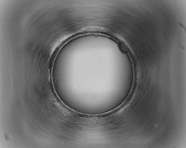X0000103130973200808221037