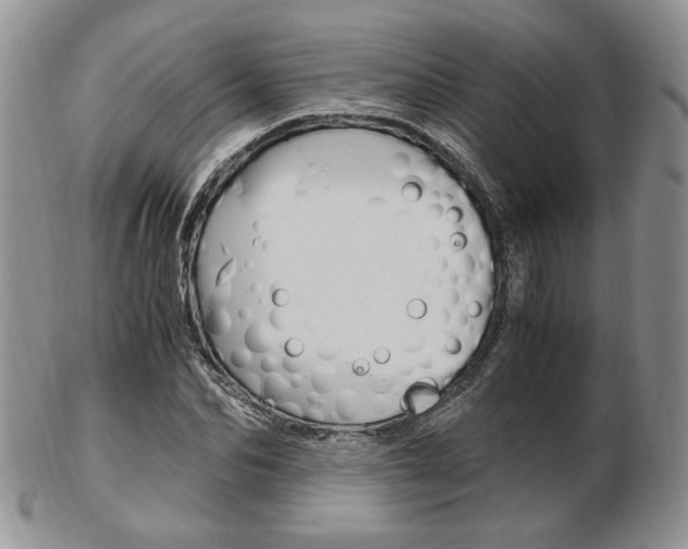 X0000103130974200808221037