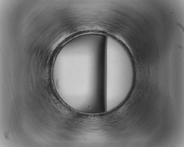 X0000103130975200808221037