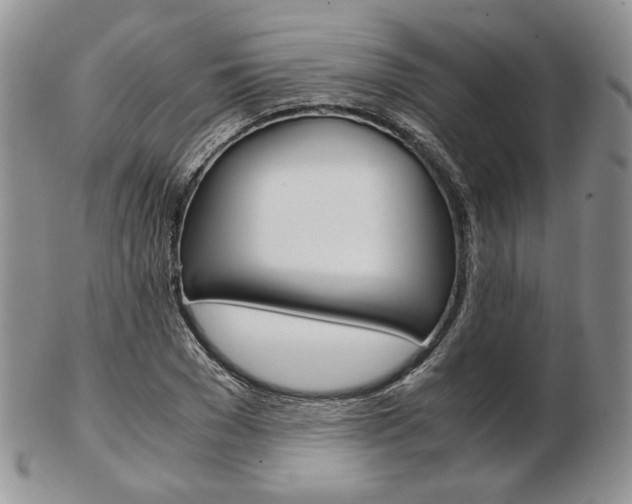 X0000103130977200808221037