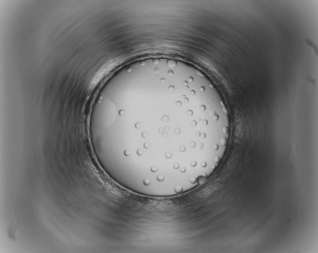 X0000103130978200808221037