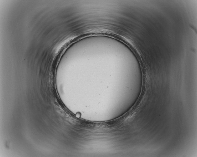 X0000103130979200808221037