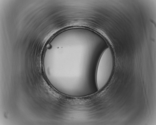 X0000103130980200808221037