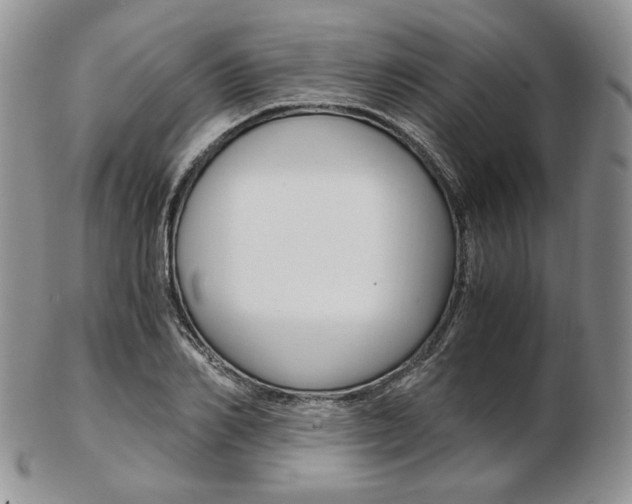 X0000103130982200808221037
