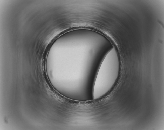 X0000103130983200808221037