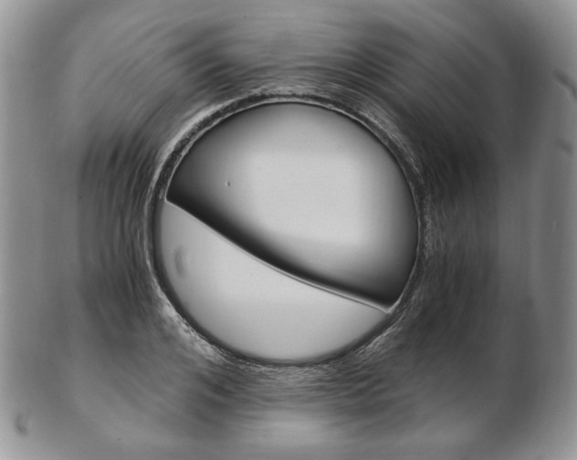 X0000103130984200808221037