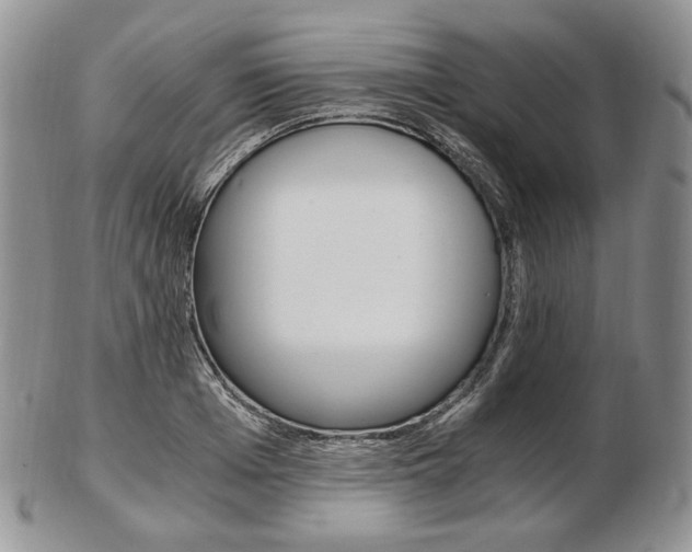 X0000103130985200808221037