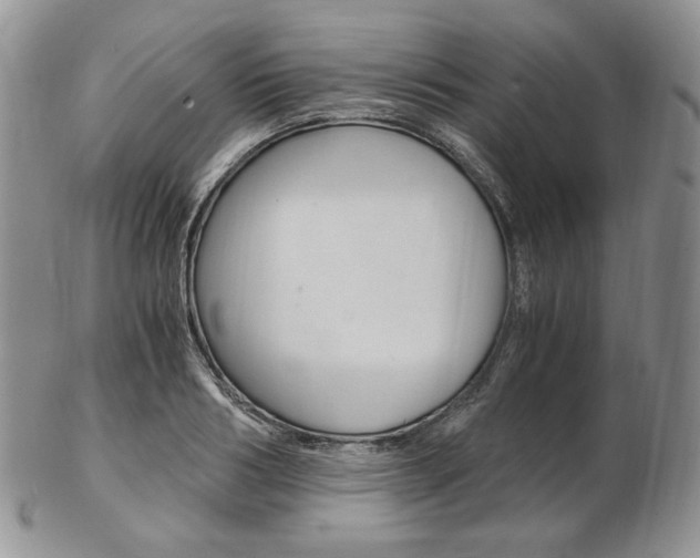 X0000103130986200808221037