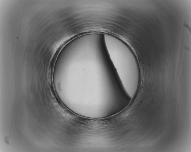 X0000103130987200808221037