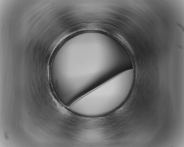 X0000103130988200808221037