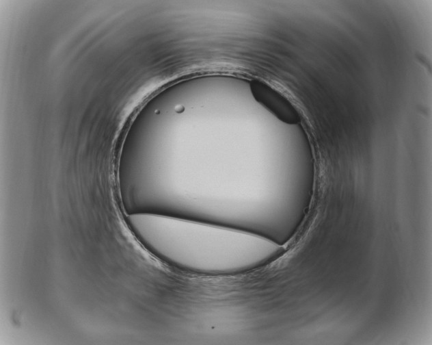 X0000103130989200808221037
