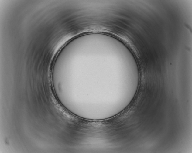 X0000103130990200808221037