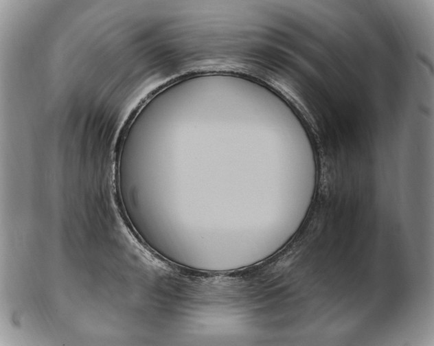 X0000103130992200808221037