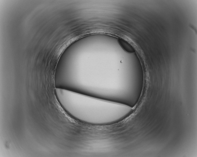 X0000103130993200808221037