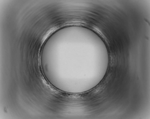 X0000103130994200808221037