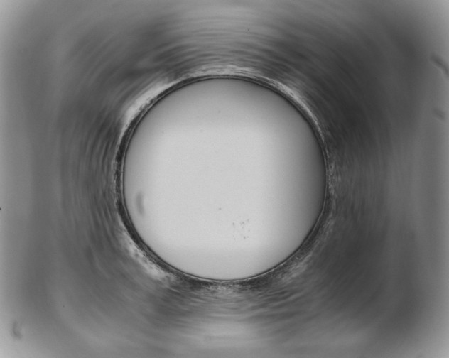 X0000103130995200808221037