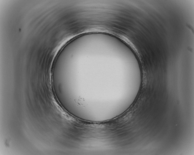 X0000103130996200808221037
