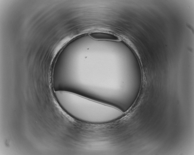 X0000103130997200808221037