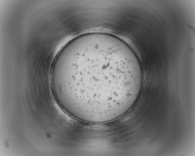 X0000103130998200808221037
