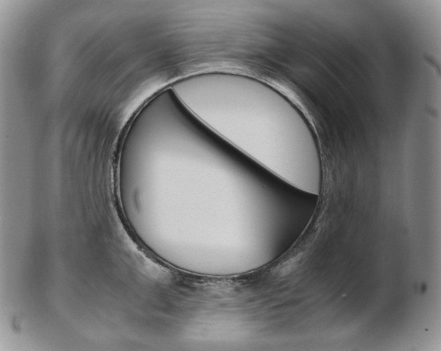 X0000103130999200808221037