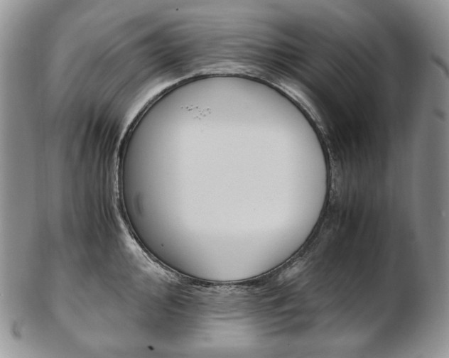 X0000103131000200808221037