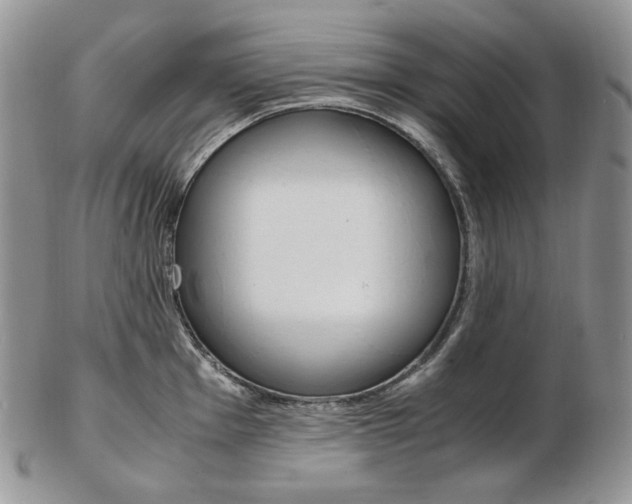X0000103131001200808221037