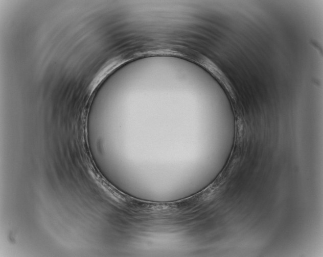 X0000103131002200808221037