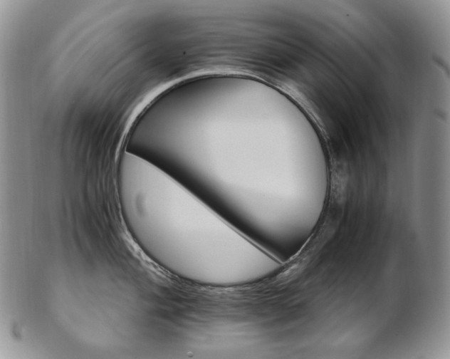 X0000103131004200808221037