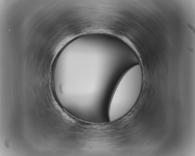X0000103131005200808221037