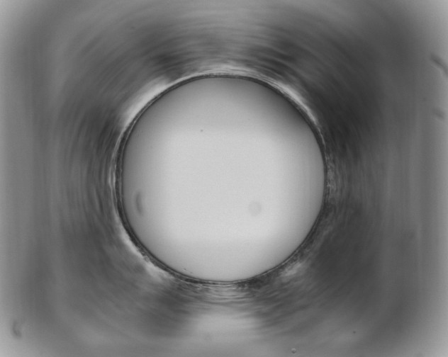 X0000103131007200808221037