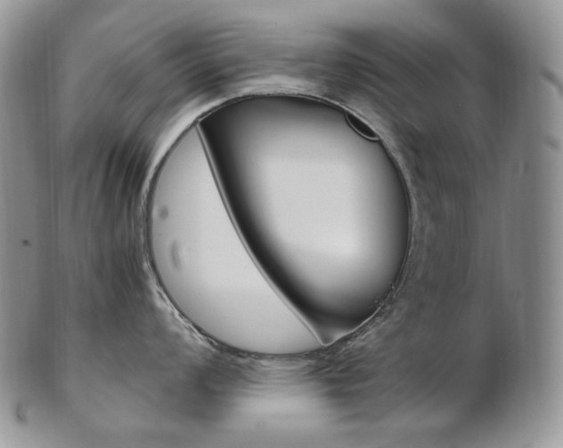 X0000103131008200808221037